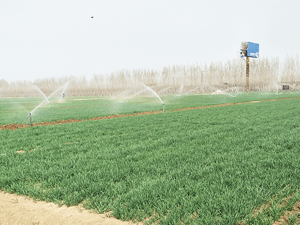 Sprinkler Irrigation Project for High-Standard Farmland Construction in Suning County